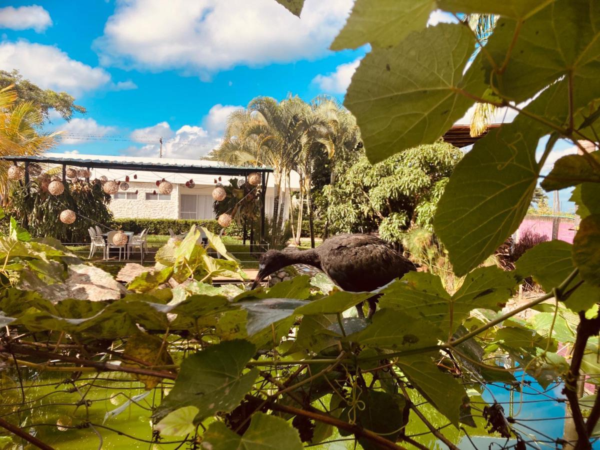 Villa Cristal Santa Elena  外观 照片
